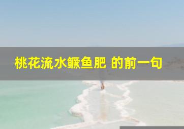 桃花流水鳜鱼肥 的前一句